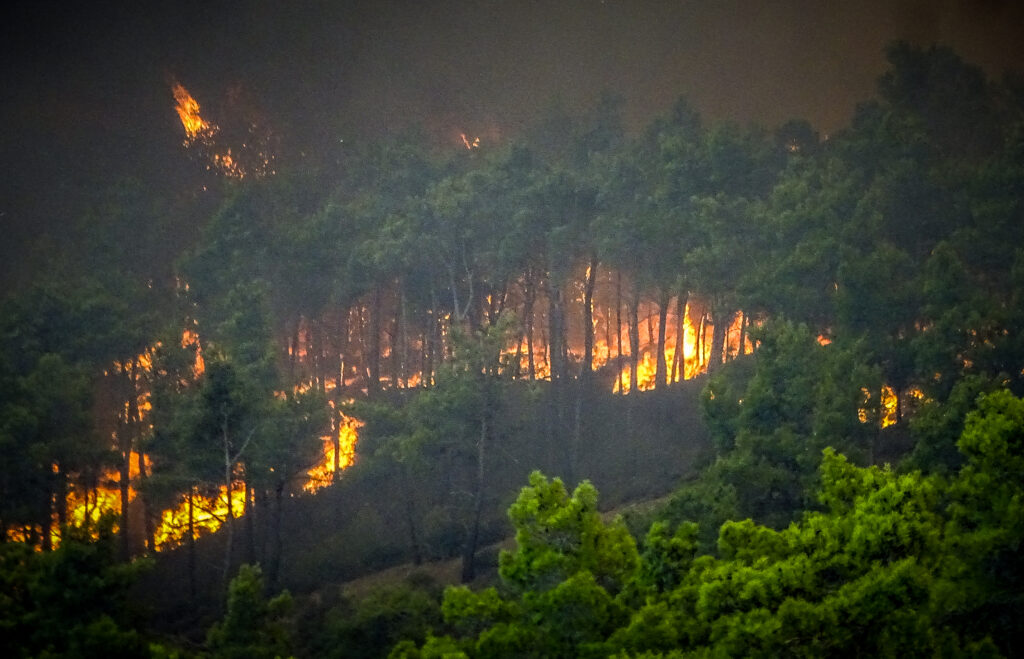 Οι μακροπρόθεσμες επιπτώσεις των δασικών πυρκαγιών στην υγεία, σωματική και ψυχική 3