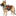 ‍